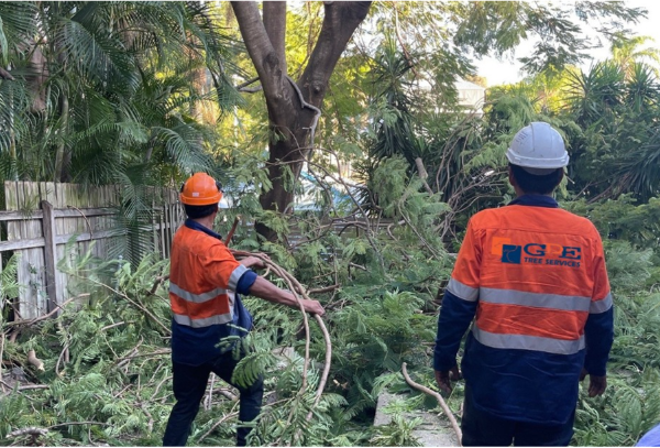 Screenshot 2026-01-31 102727